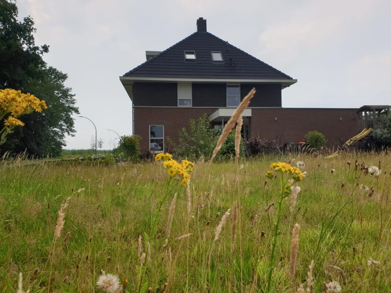 Heerlijke vakantiewoning aan de rand van het dorp in Drenthe - 