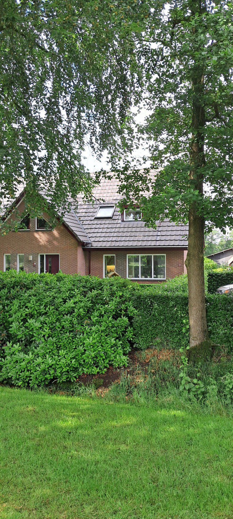 Genieten van bos en hei Elspeet