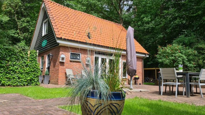 Luxe bungalow 6pers (nr 78) met sauna, airco en trampoline te Hoge Hexel - tuin