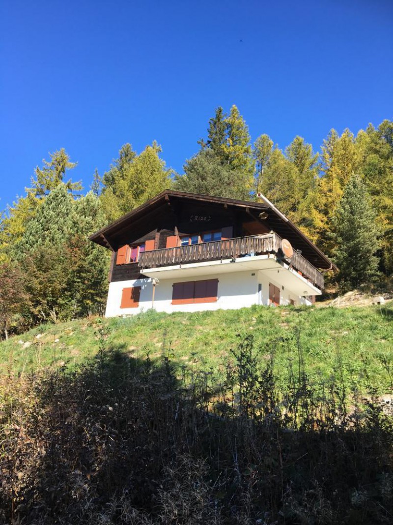 Zwitsers chalet: zeer nette bovenetage te huur (4/5p) - vooraanzicht tegen bosrand