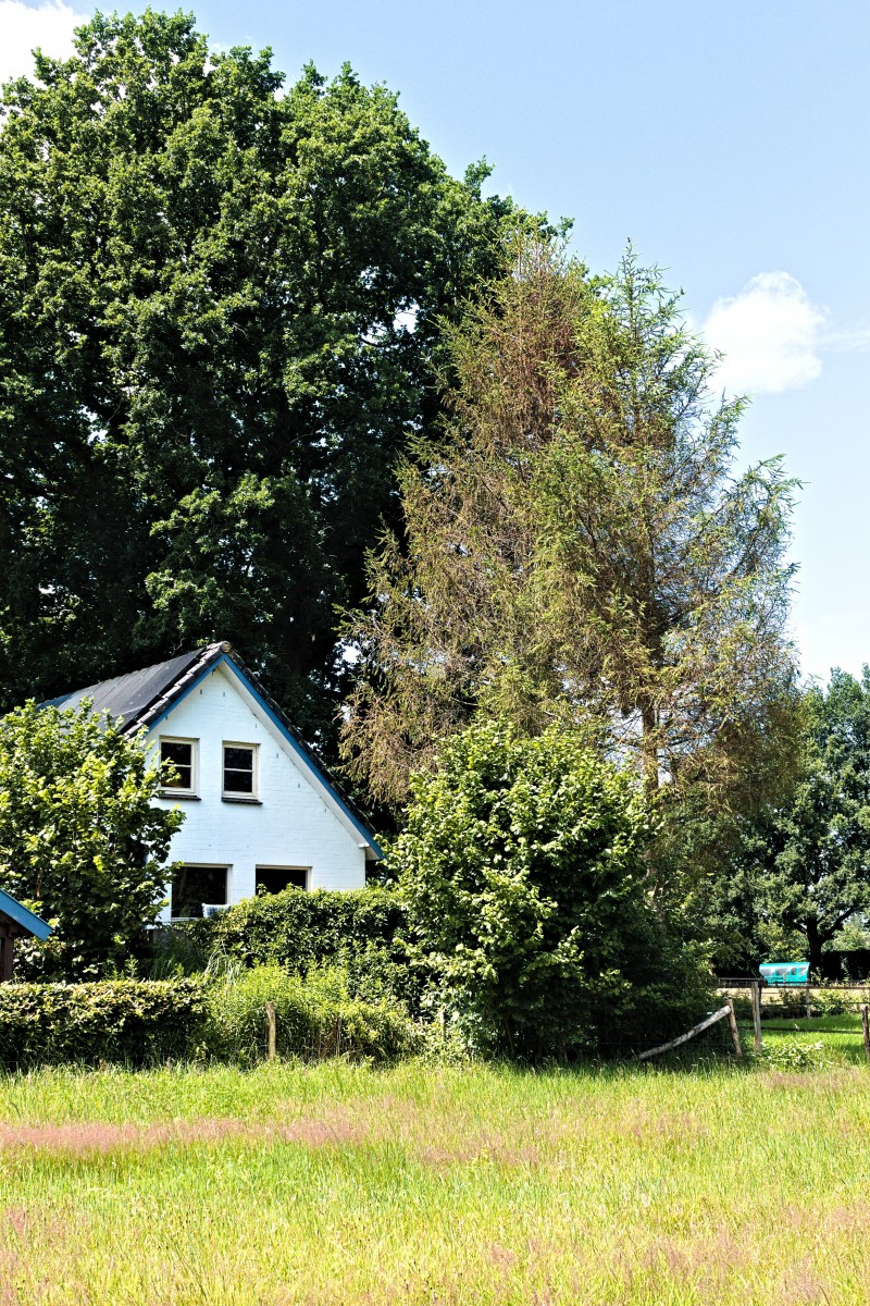 Vakantiewoning Vierhouten , vrij uitzicht, vlakbij dorp en bos - 