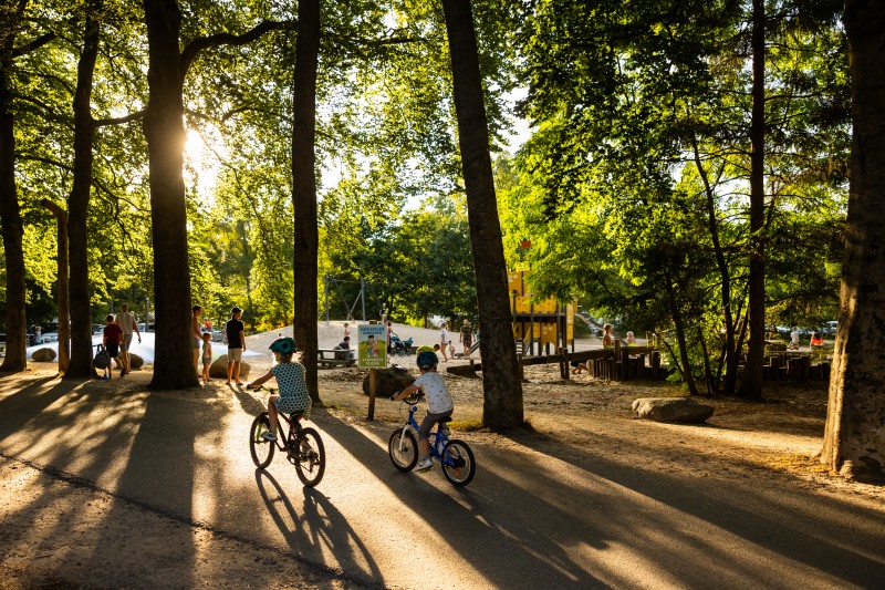RCN Het Grote Bos