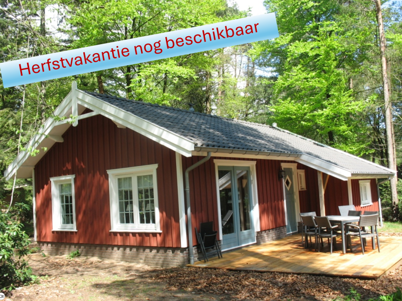6p. Ruime vakantiewoning zweedse stijl op mooi bosperceel