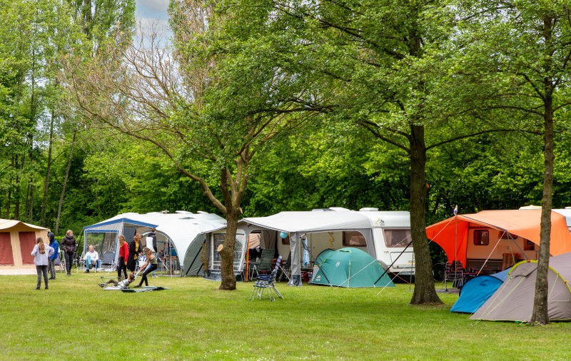 Vakantiecentrum De Kroezedanne - camping veld 1