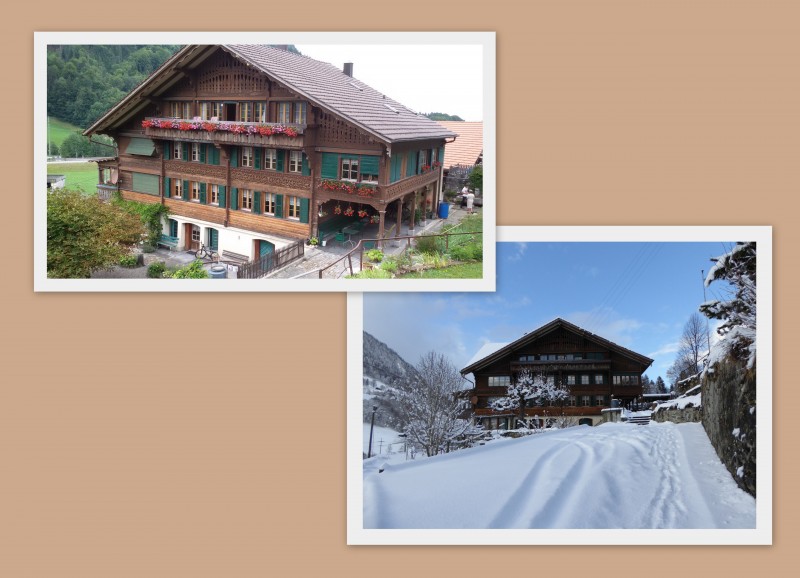 Te huur,  mooie vakantiewoningen in het Berner Oberland.  - het aanzicht van de woning